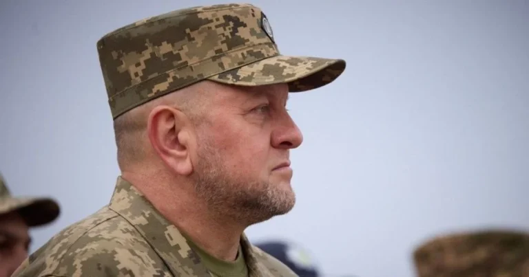 залужний новини